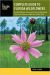 Florida Wildflowers: Complete Florida Guide